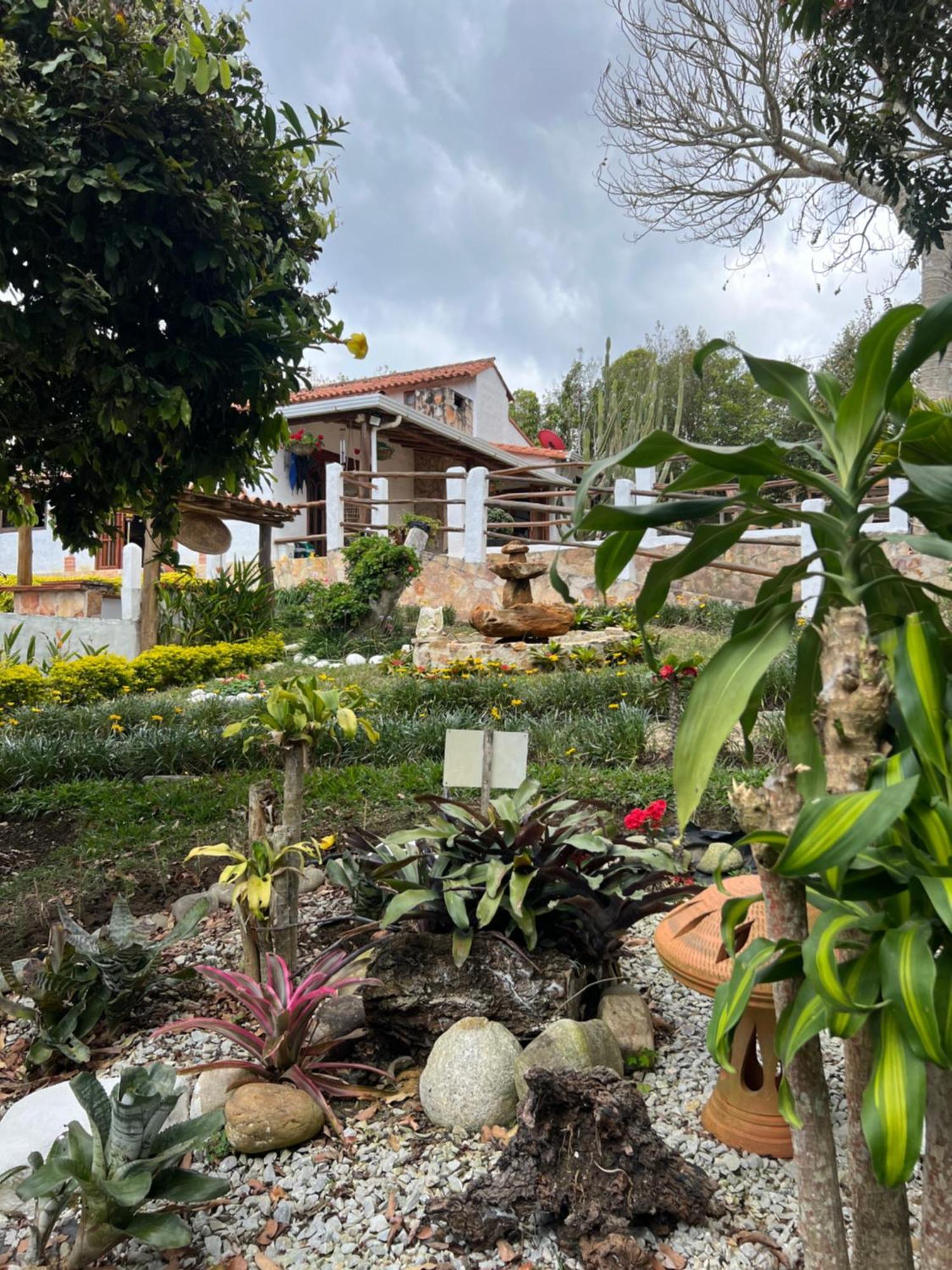 Boutique Santa Clara Mesa De Santos *